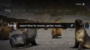 xboxTVSearch_web
